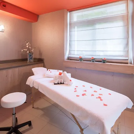 Отель Best Western Plus Le Rive Droite & Spa Лурд