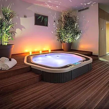 Best Western Plus Le Rive Droite & Spa 4* Лурд